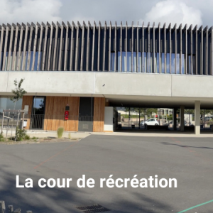 notre college